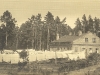 69_view