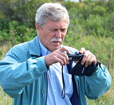 Toomas Tamla