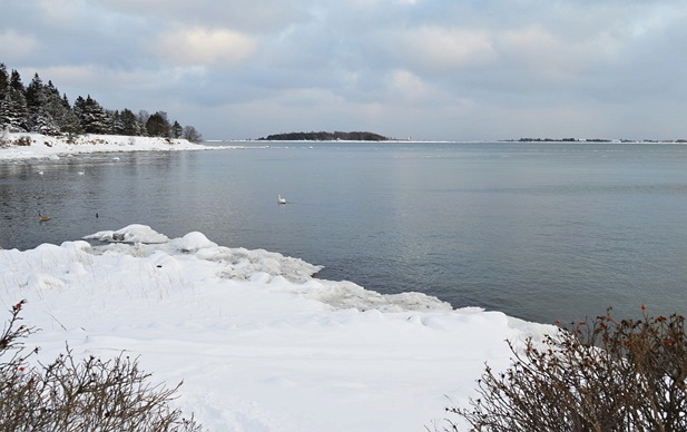 Nagu käesolevalt fotolt näha, on 13. jaanuari seisuga Aegna ja Rohuneeme vaheline mereala taaskord jäävaba.